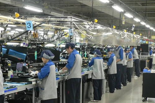 月薪過萬仍遇冷，兩大行業面臨“斷代”危機——90后大學生就業觀之變